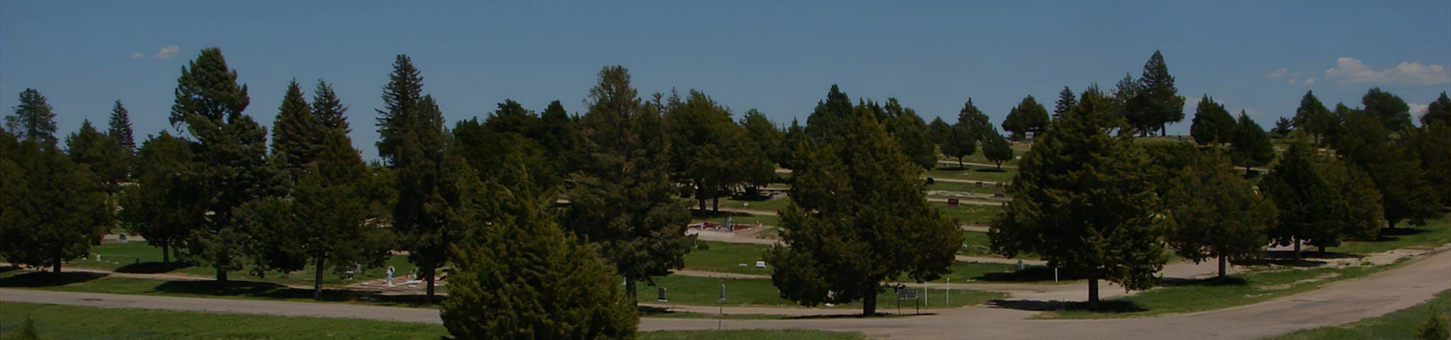 cemetery trees