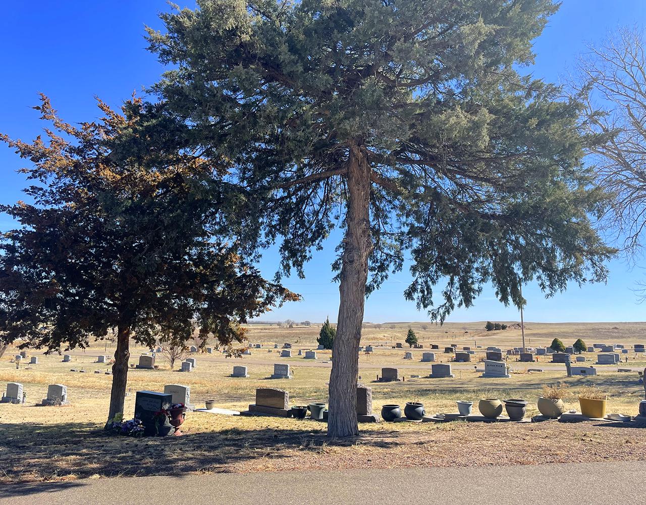 Slide 4 of cemetery gallery